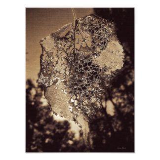 Decaying Leaf Photo Print