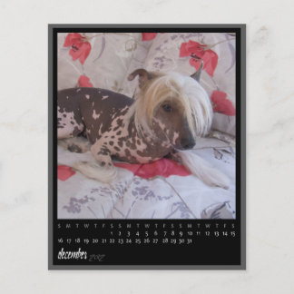 december 2012 calendar