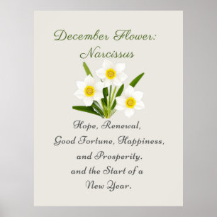 December Birth Month Flower Narcissus Elegant     Poster