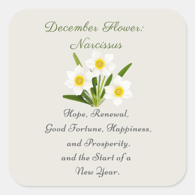 December Birth Month Flower Narcissus Elegant     Square Sticker (Front)