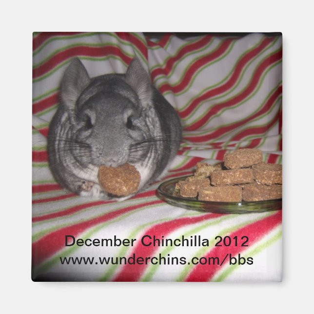 December chinchilla 2012 magnet (Front)