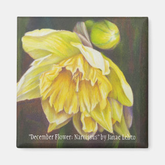 "December Flower: Narcissus" by Janae Lehto Magnet