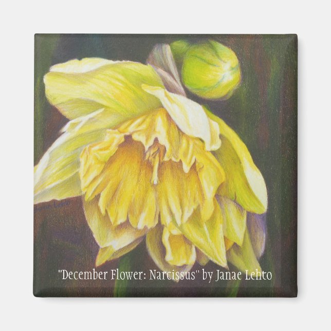 "December Flower: Narcissus" by Janae Lehto Magnet (Front)