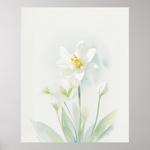 December Narcissus Birth Flower Poster