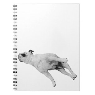 December Plans, Sleeping Dog Notebook