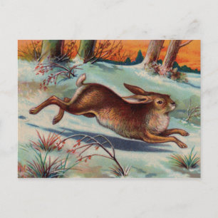December Rabbit Postcard