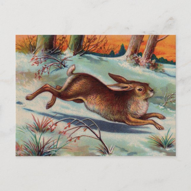 December Rabbit Postcard (Front)