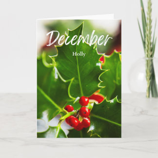 December Red Holly Birth Month Flower Birthday Card