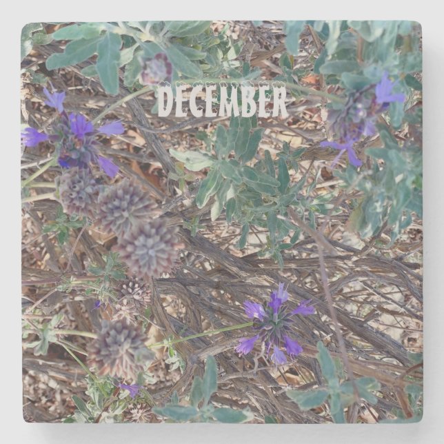 DECEMBER STONE COASTER (Front)