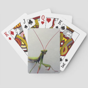 Deck of Cards, Green Praying Mantis Photo Playing Cards