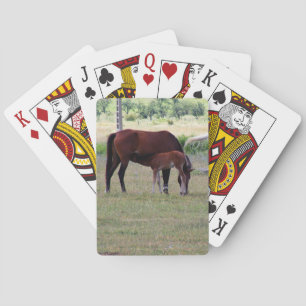 Deck of Cards, Horse Family Grazing Photograph Playing Cards