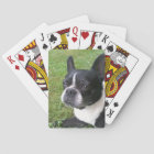deck of playing cards, with boston terrier