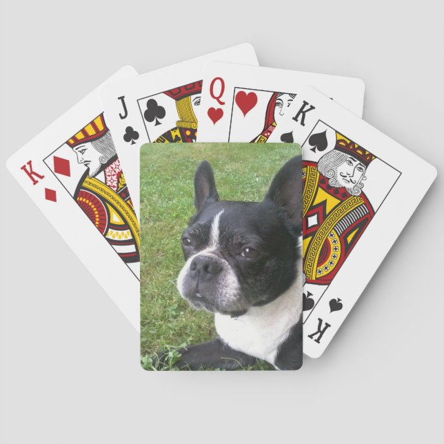 deck of playing cards, with boston terrier playing cards (Back)