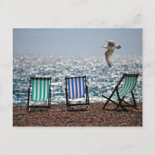 Deckchairs sea beach seagull beautiful scenery postcard