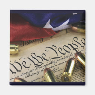 Declaration of Independence Magnet