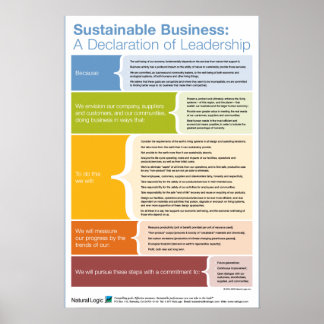 Declaration of Leadership Poster