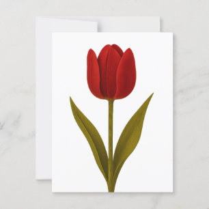 Declaration of Love  Postcard