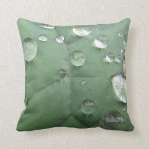 Decocased drop of water on green cushion