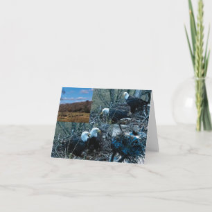 Decorah Nest North Note Cards