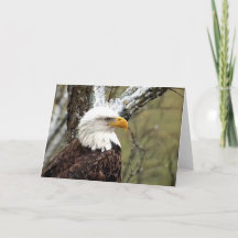 Decorah North Eagles: The Beaver Moon