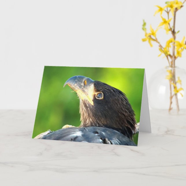 Decorah North Eagles: The Flower Moon Card (Yellow Flower)