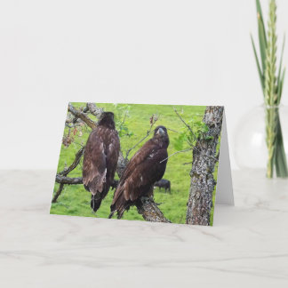 Decorah North Eagles: The Strawberry Moon Card