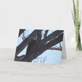 Decorah North Eagles: The Wolf Moon Card