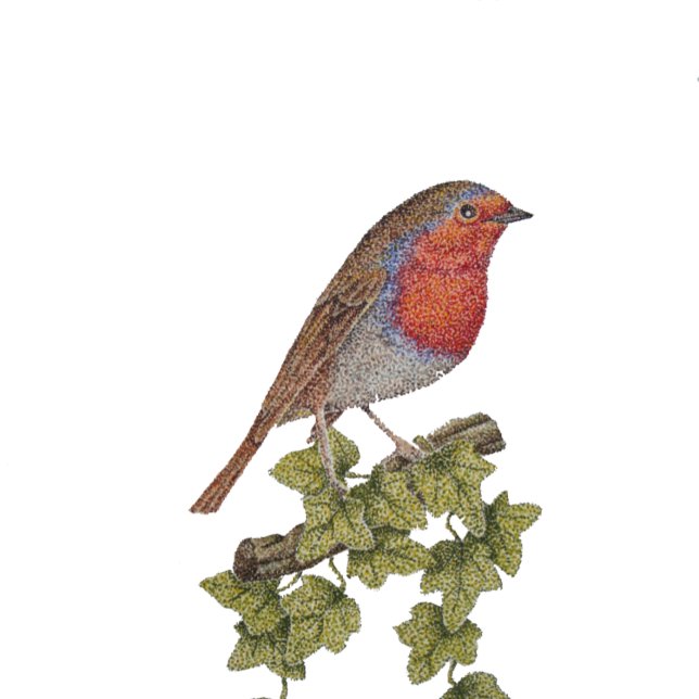 decorated christmas tree robin ivy leaves seasonal wrapping paper (Creator Uploaded)