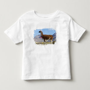 Decorated lama herd in the Puna, Andes mountains 2 Toddler T-Shirt