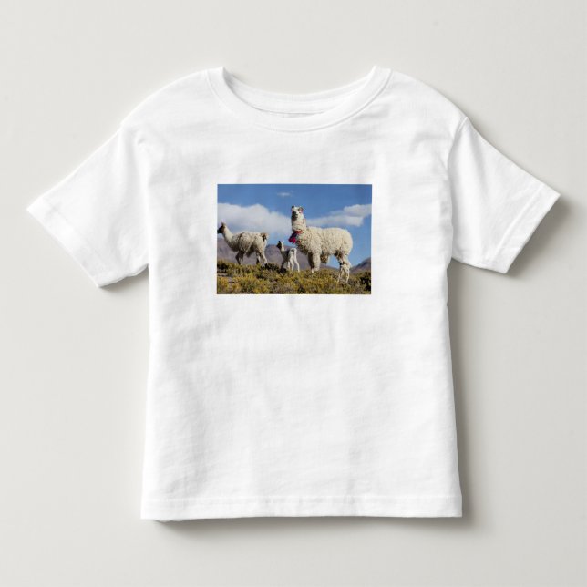 Decorated lama herd in the Puna, Andes mountains 3 Toddler T-Shirt (Front)