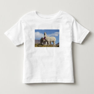 Decorated lama herd in the Puna, Andes mountains Toddler T-Shirt