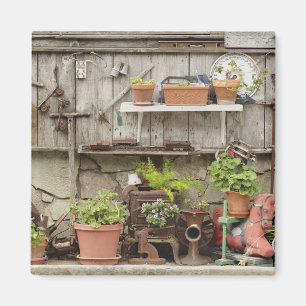 Decorations on wooden fence, Catalina Island, Magnet