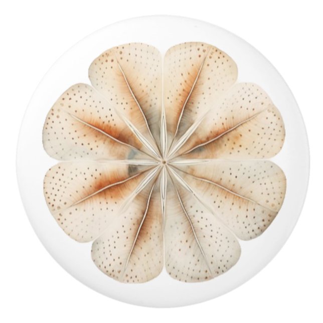 Decorative Beachy ceramic knobs (Front)