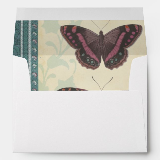 Decorative Butterfly Brocade by Vision Studio Envelopes (Back (Bottom))