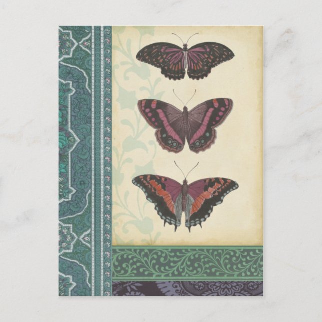 Decorative Butterfly Brocade by Vision Studio Postcard (Front)