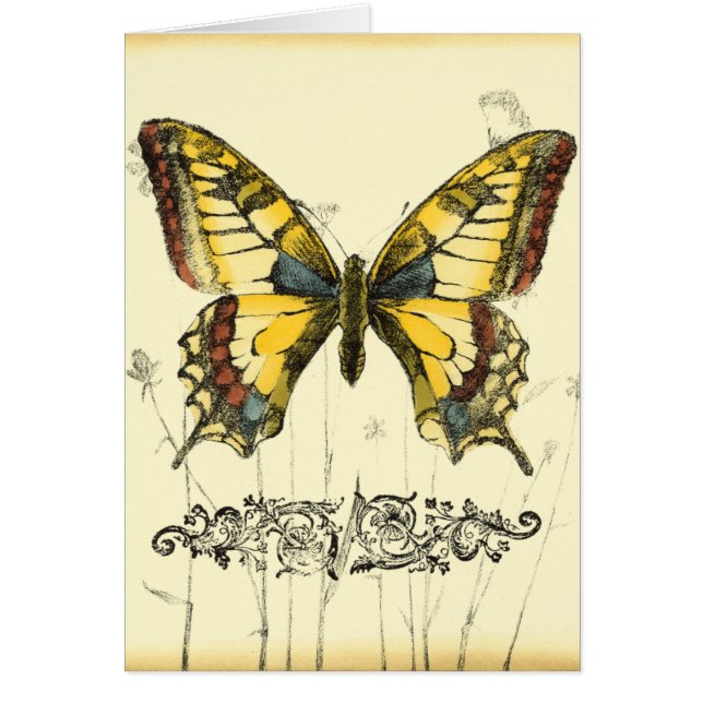 Decorative Butterfly with Wildflowers (Front)
