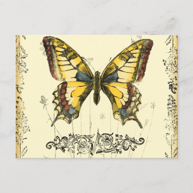 Decorative Butterfly with Wildflowers Postcard (Front)