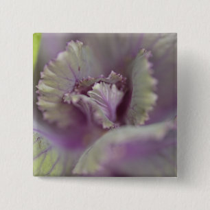 Decorative cabbage 15 cm square badge