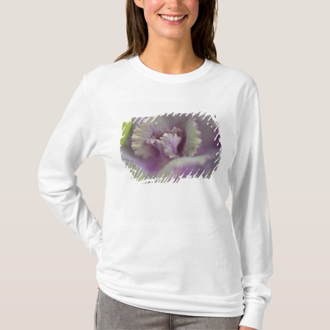 Decorative cabbage T-Shirt (Front)