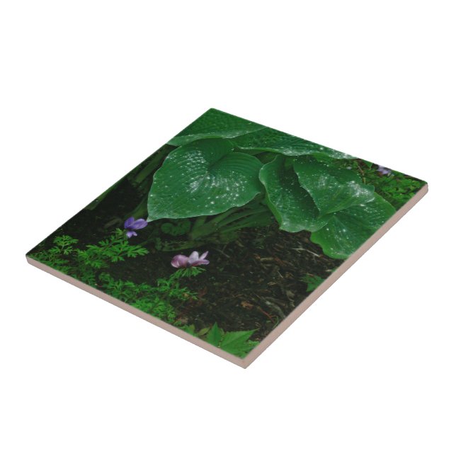 Decorative Ceramic Tile/ Hostas With Raindrops Tile (Side)
