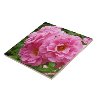 DECORATIVE CERAMIC TILE."PINK FRILLY ROSES" TILE
