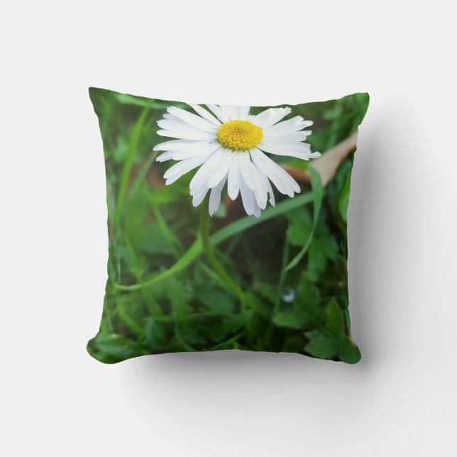 Decorative cushion, daisy, flower cushion (Front)