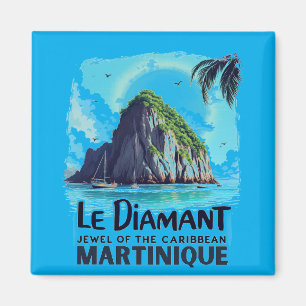 Decorative cushion magnet