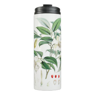 Decorative exotic plants thermal tumbler