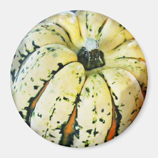 Decorative Fall Squash Refrigerator Magnet (Front)
