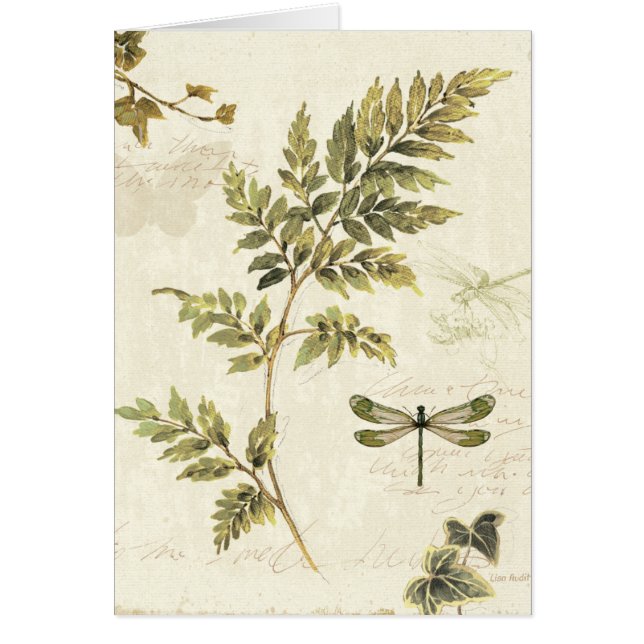 Decorative Ferns and a Dragonfly (Front)