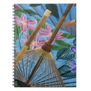 Decorative hand painted umbrellas in the village notebook