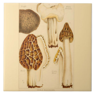Decorative Kitchen Accent Tile Edible Mushrooms