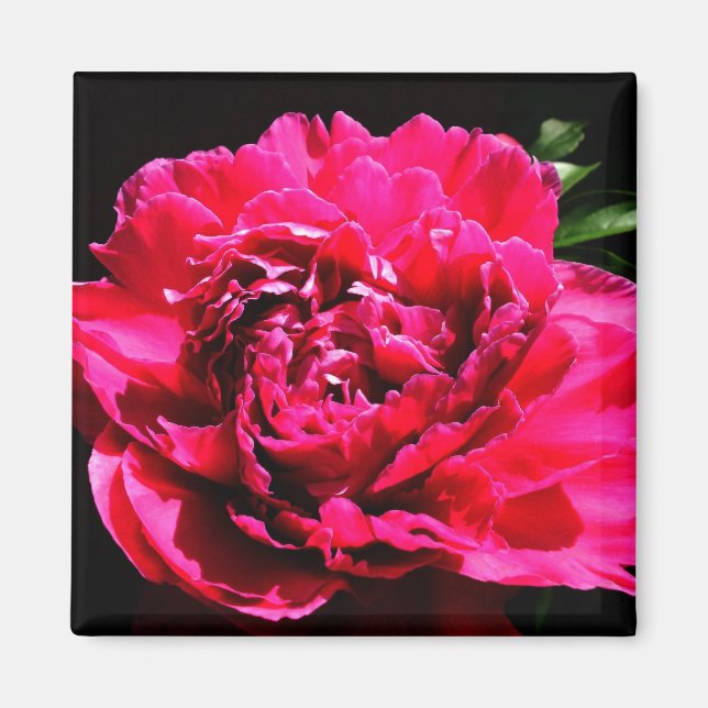 Decorative Magnet - Flower (Front)