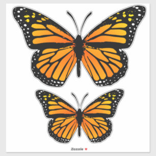 Decorative Monarch Butterfly